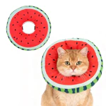 Cat Cone Collar