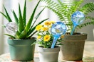 amazon Self-Watering Gloves for Plants B09CTS9F59