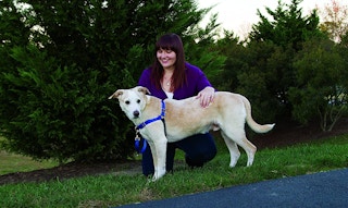 PetSafe Easy Walk Dog Harness
