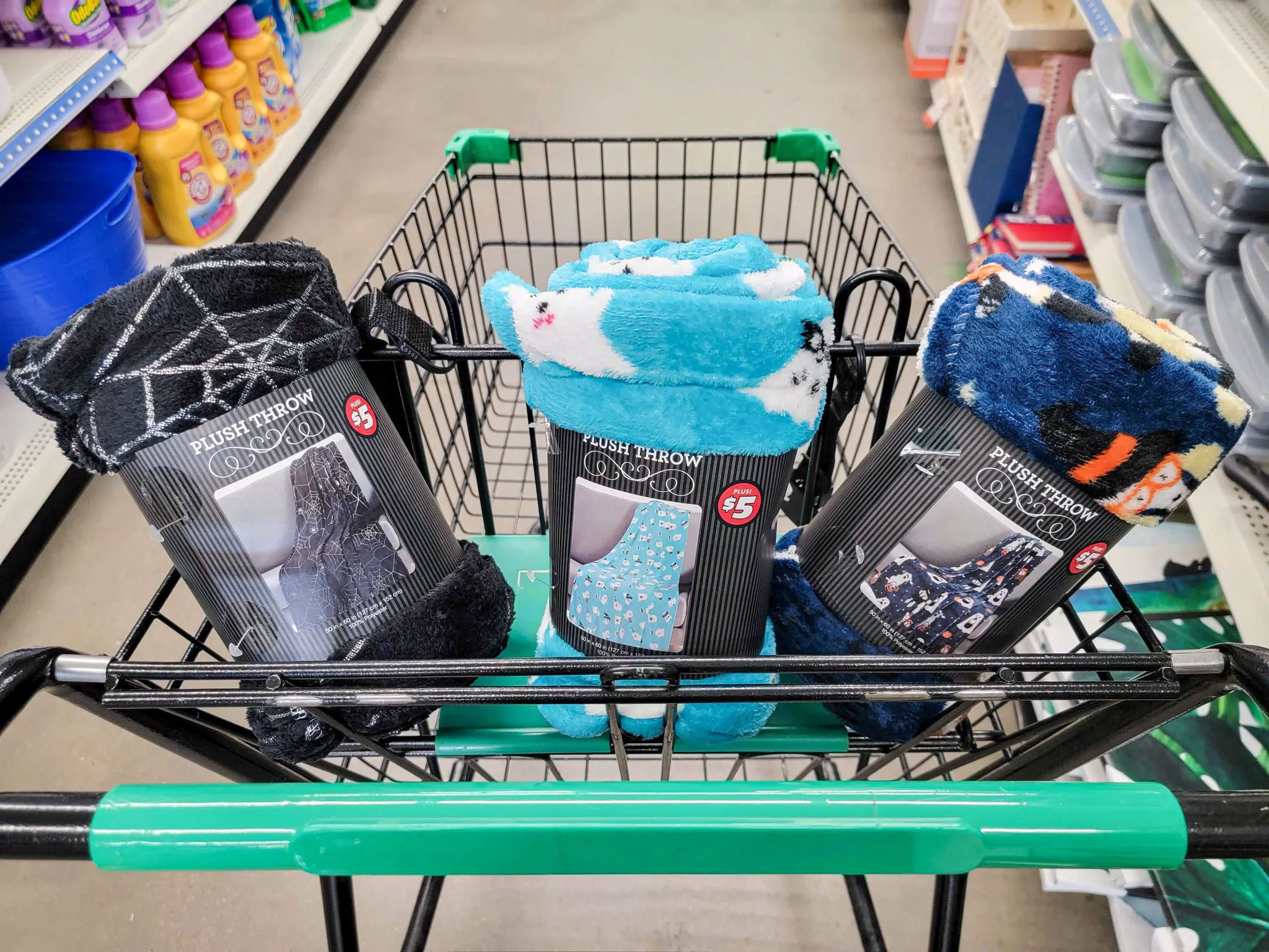 Halloween Fleece Blankets, Only $5 at Dollar Tree - The Krazy Coupon Lady