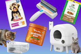 The Best Pet Deals From Amazon Are Here: Food, Treats, Toys, and More card image