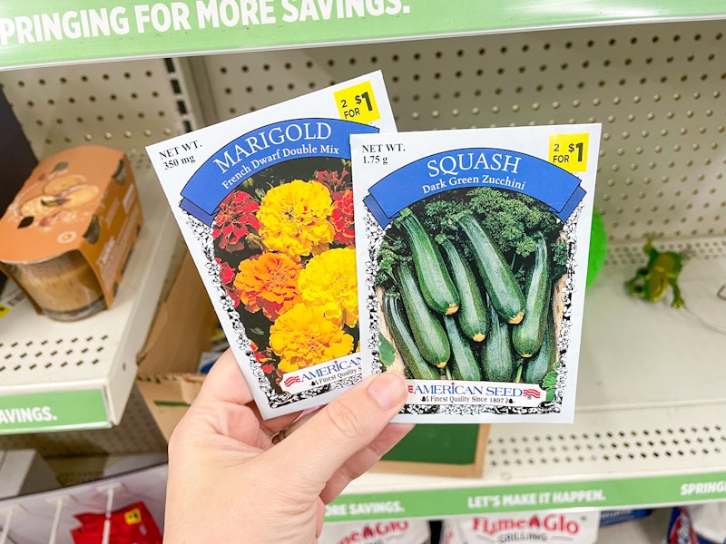 Someone holding packets of seeds in front of a shelf in a store