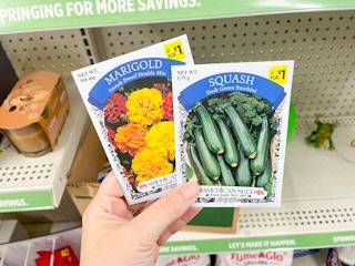 Someone holding packets of seeds in front of a shelf in a store