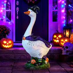Halloween Witch Porch Goose