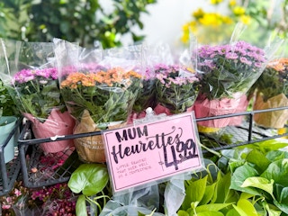 trader-joes-aug-7