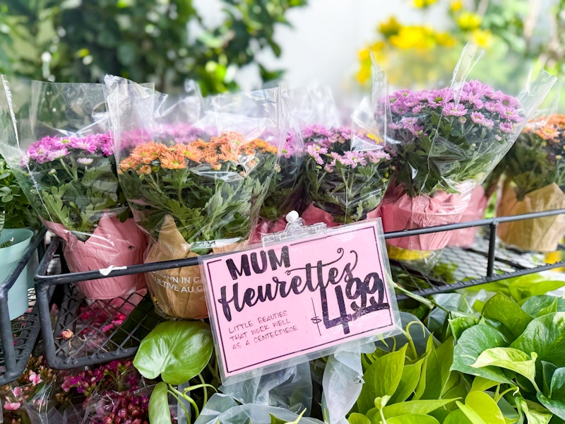 trader-joes-aug-7