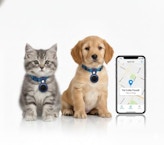 Pet Location Tag