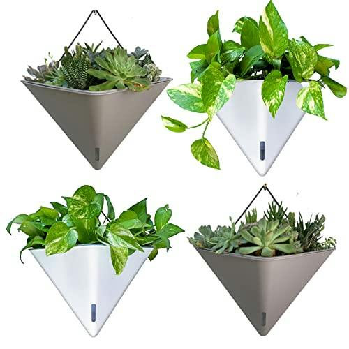 Wall Planter
