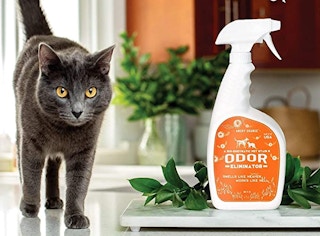 amazon angry orange 1649266354 1649266354