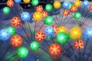 christmas lights