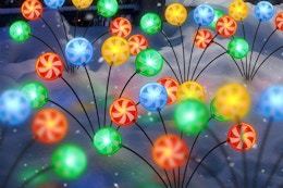 christmas lights