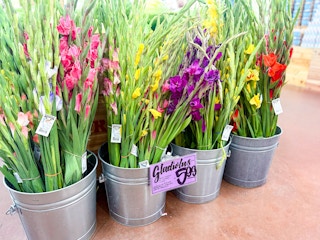 trader-joes-aug-4