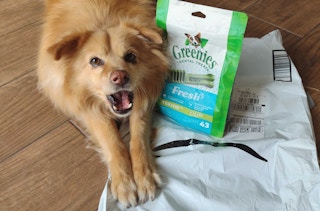 A dog laying on the floor and stretching its paws forward next to an Amazon delivery bag and a bag of Greenies.