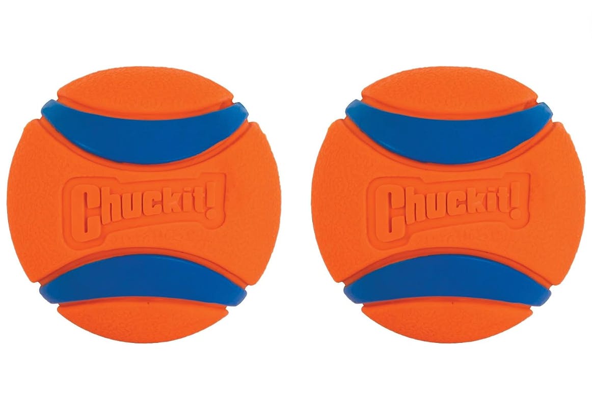 Chuckit Dog Toy 2-Pack