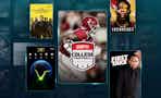 Disney+, Hulu & ESPN Unlimited Bundle