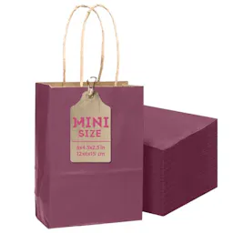 Mini Paper Gift Bags 24-Pack