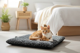 untilgone pet bed