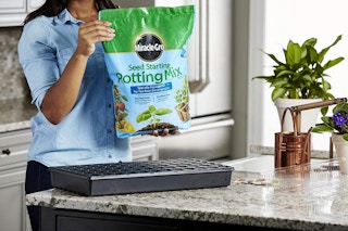 amazon miracle gro 1618164643 1618164643