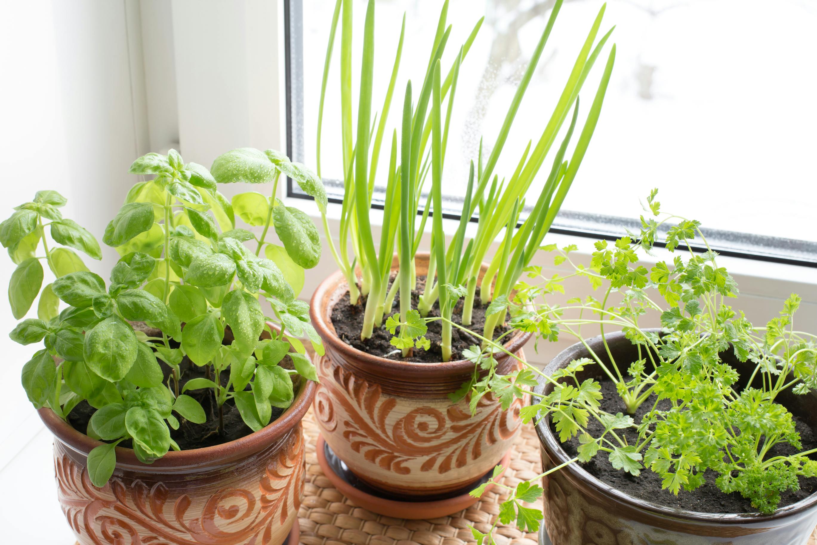 9 Vegetables You Should Never Pay For