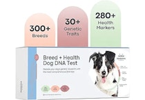 Basepaws Dog DNA Testing Kit