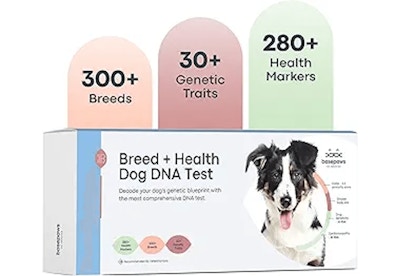 Basepaws Dog DNA Testing Kit