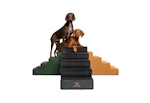 Noah & Paw Dog Stairs
