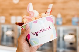 Person holding cup of yogurt in front of yogurt machines.