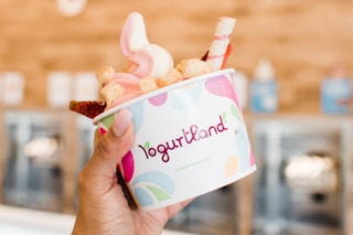 Person holding cup of yogurt in front of yogurt machines.
