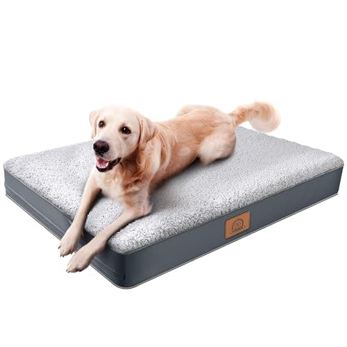 Orthopedic Dog Bed