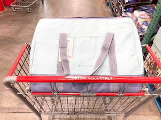 costco keepcool insulated shopping cooler bag 1690801563 1690801563