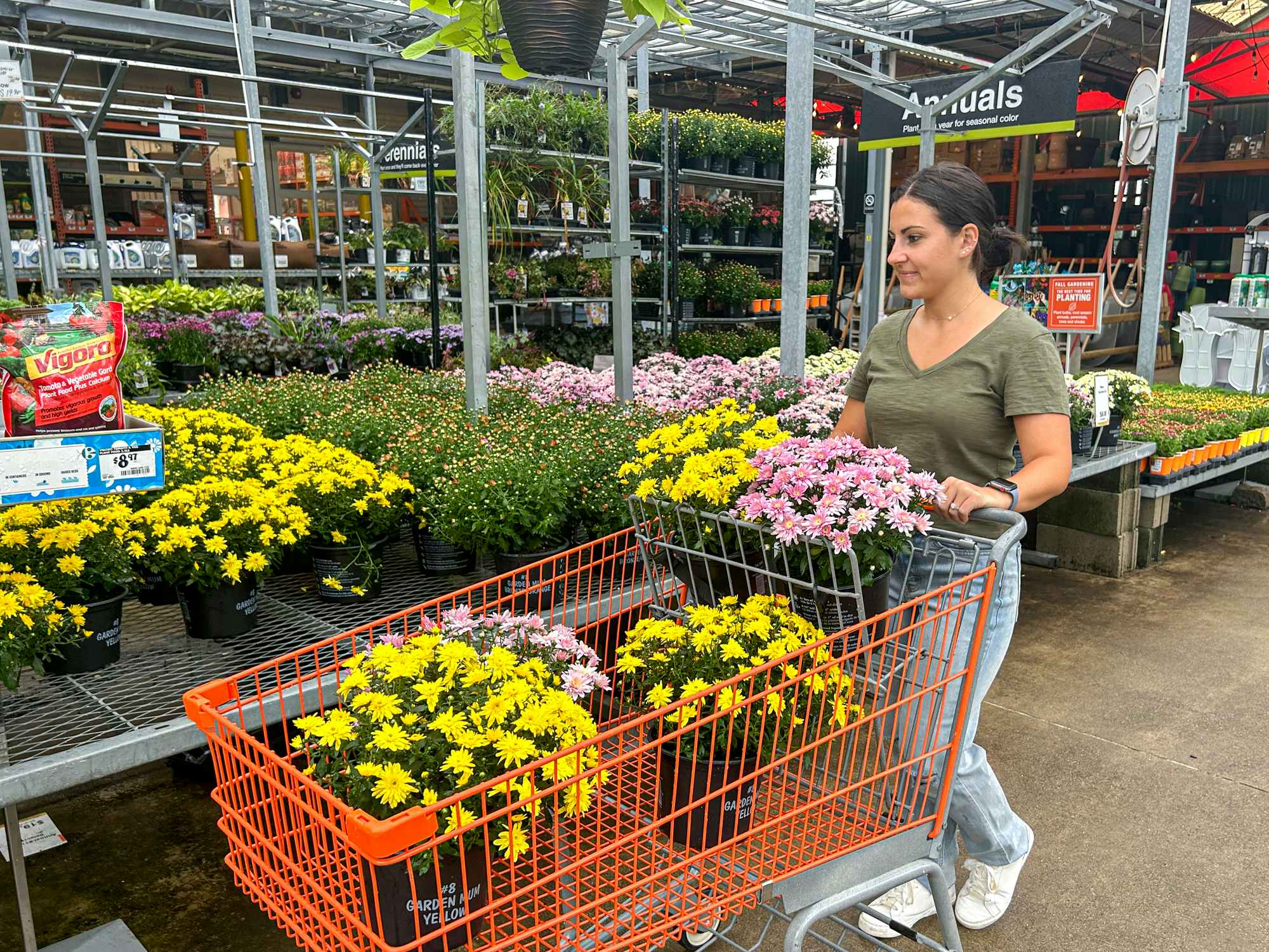 a person shopping for mums at home depo