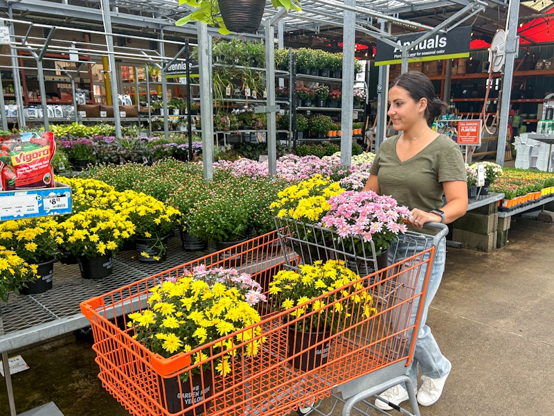 a person shopping for mums at home depo
