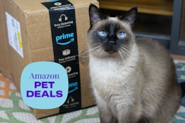 amazon-pet-deals-10