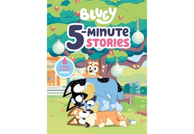 Bluey Stories