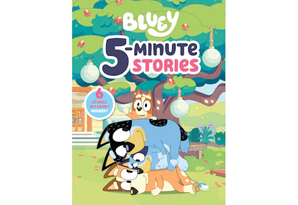 Bluey Stories