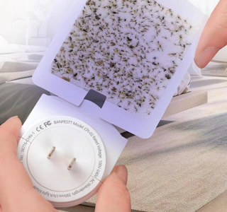 a hand holding an insect trap 