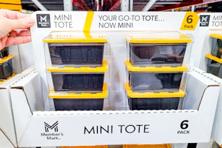 hand holding a pack of members mark mini totes