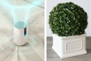 large room air purifier and boxwood faux plant