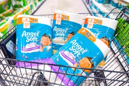 publix-angel-soft-toilet-paper