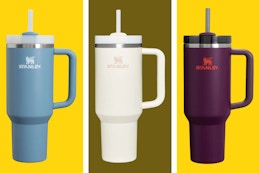 Stanley 40-Ounce Tumblers Are as Low as $25 at Scheels (Reg. $45) card image