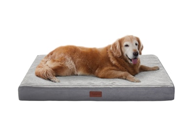 Orthopedic Dog Bed