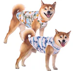 Hawaiian Dog Shirts 2-Pack