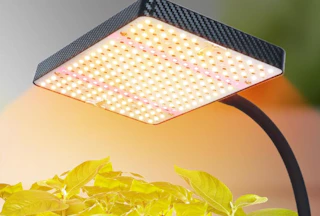 a plant light shining on plants