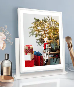 Lighted Makeup Mirror