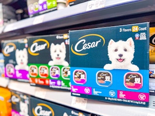 walmart-Cesar-dog-food-kcl-3