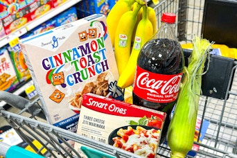food lion groceries in shopping cart