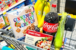 food lion groceries in shopping cart