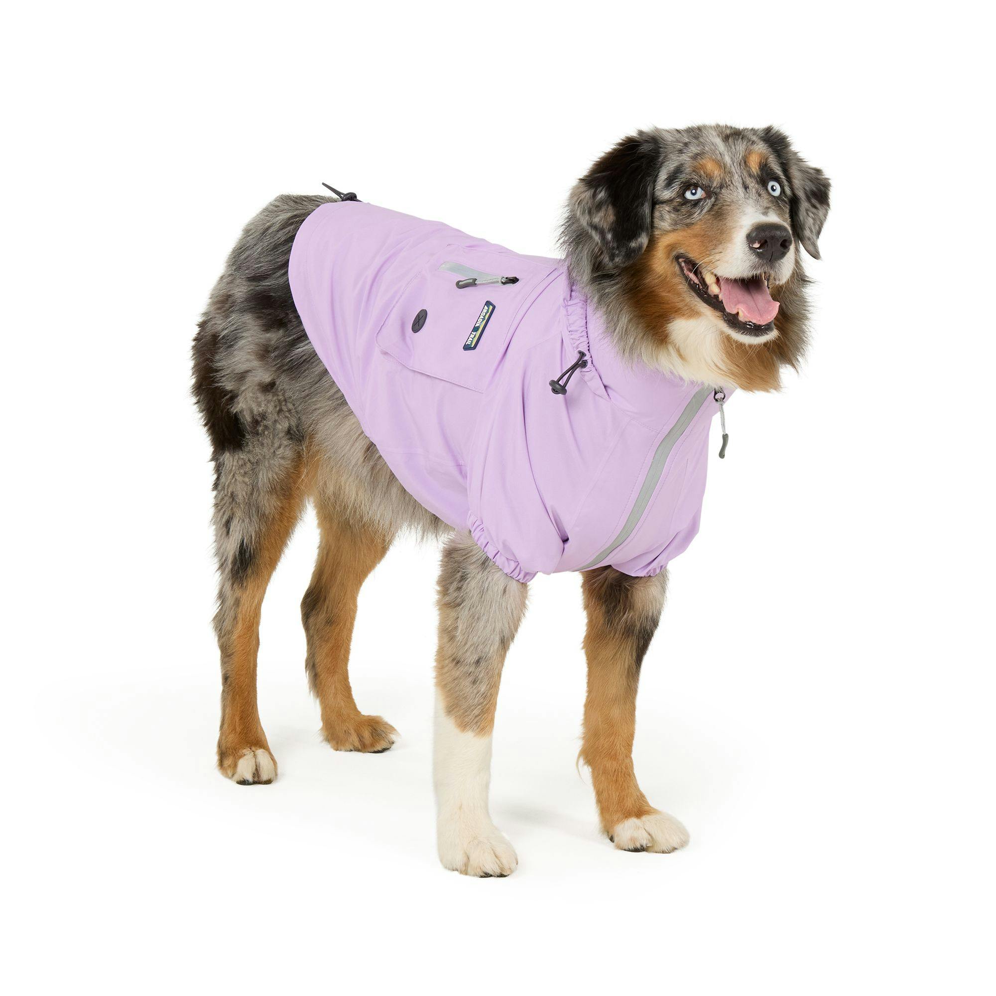Adult Waterproof Windbreaker