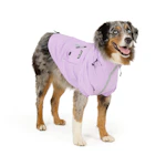 Adult Waterproof Windbreaker