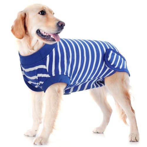 Dog Recovery Suit